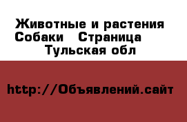 Животные и растения Собаки - Страница 11 . Тульская обл.